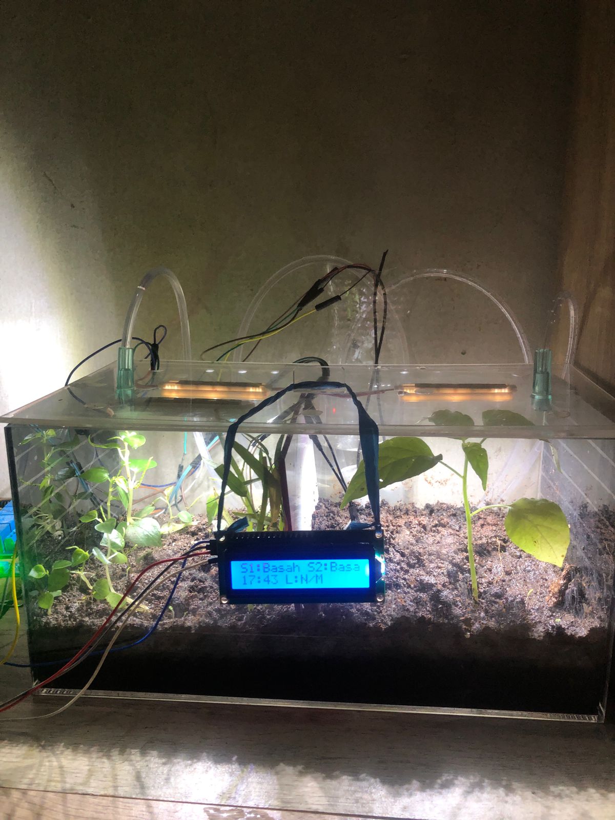 Auto Watering System